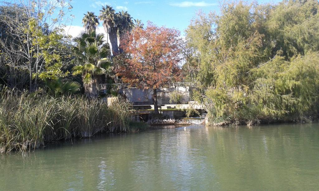 Apartamento Calle Goles Seville Phòng bức ảnh